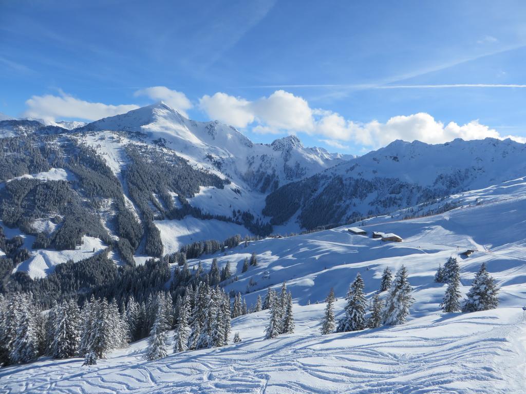 Pension Muehlbachhof Alpbach Ngoại thất bức ảnh
