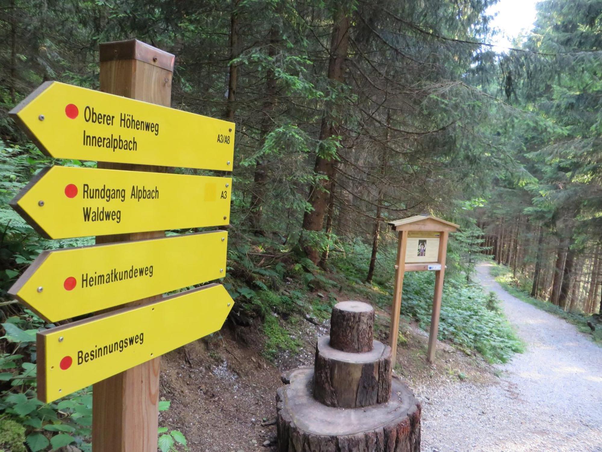 Pension Muehlbachhof Alpbach Ngoại thất bức ảnh