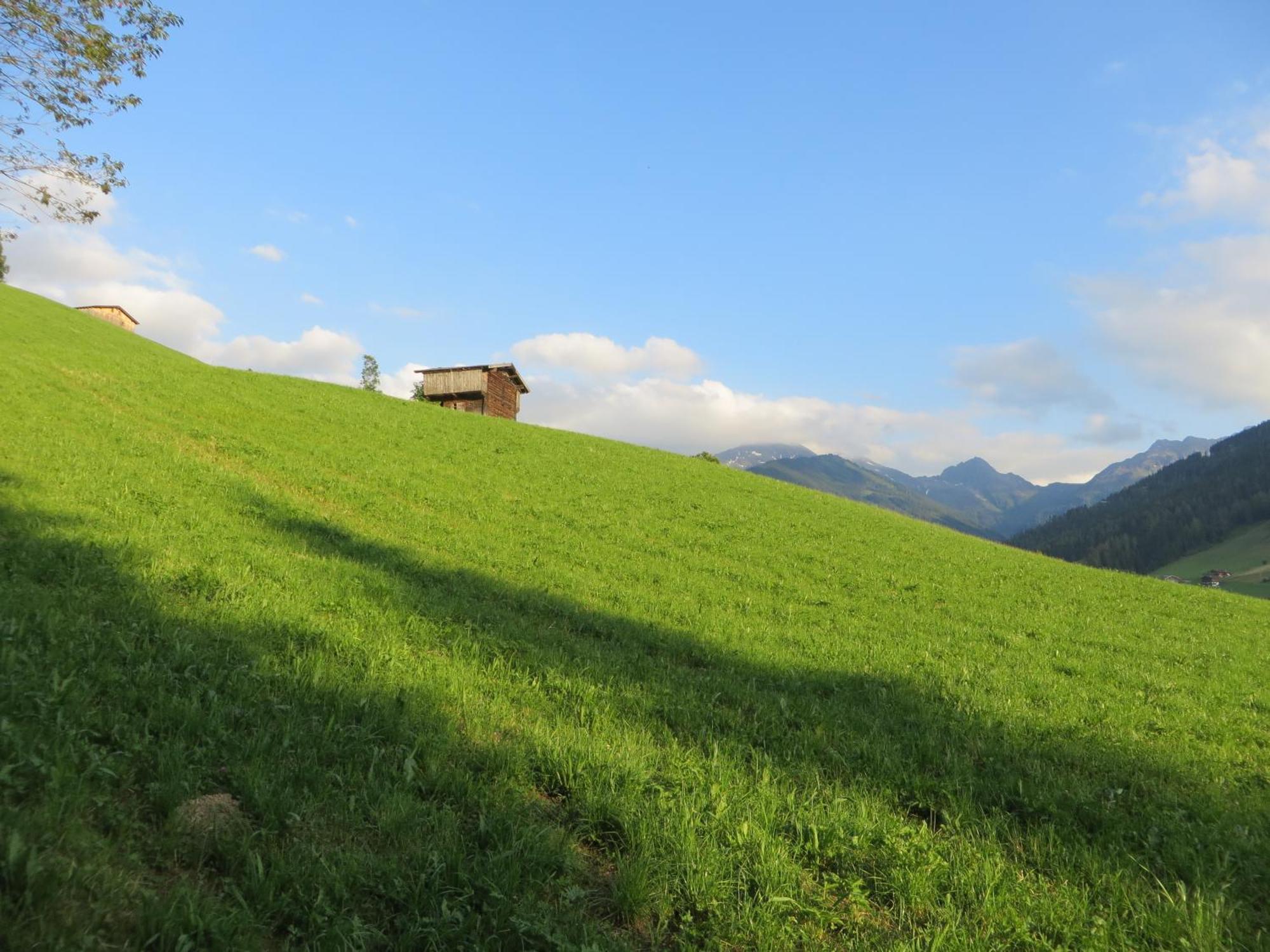 Pension Muehlbachhof Alpbach Ngoại thất bức ảnh